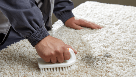 Professional Rug Cleaning Doveton